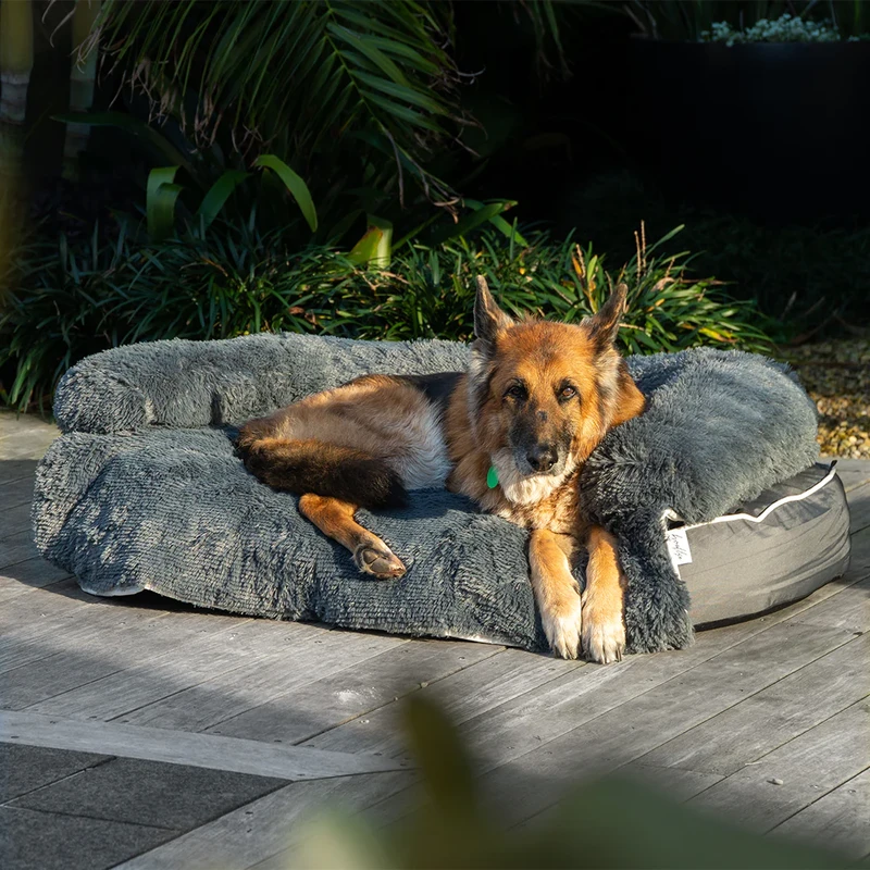 faq - Best Eco-Friendly Materials for Dog Beds 2026 Explained