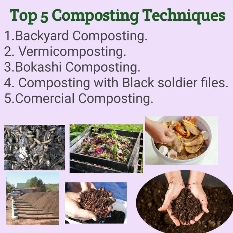 faq-common-questions-on-composting-pet-waste-safel - Safe Pet Waste Composting Methods for Healthier Soil