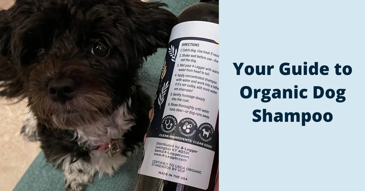 faq - Eco-Friendly Dog Shampoo vs Regular: Key Skin & Eco Benefits