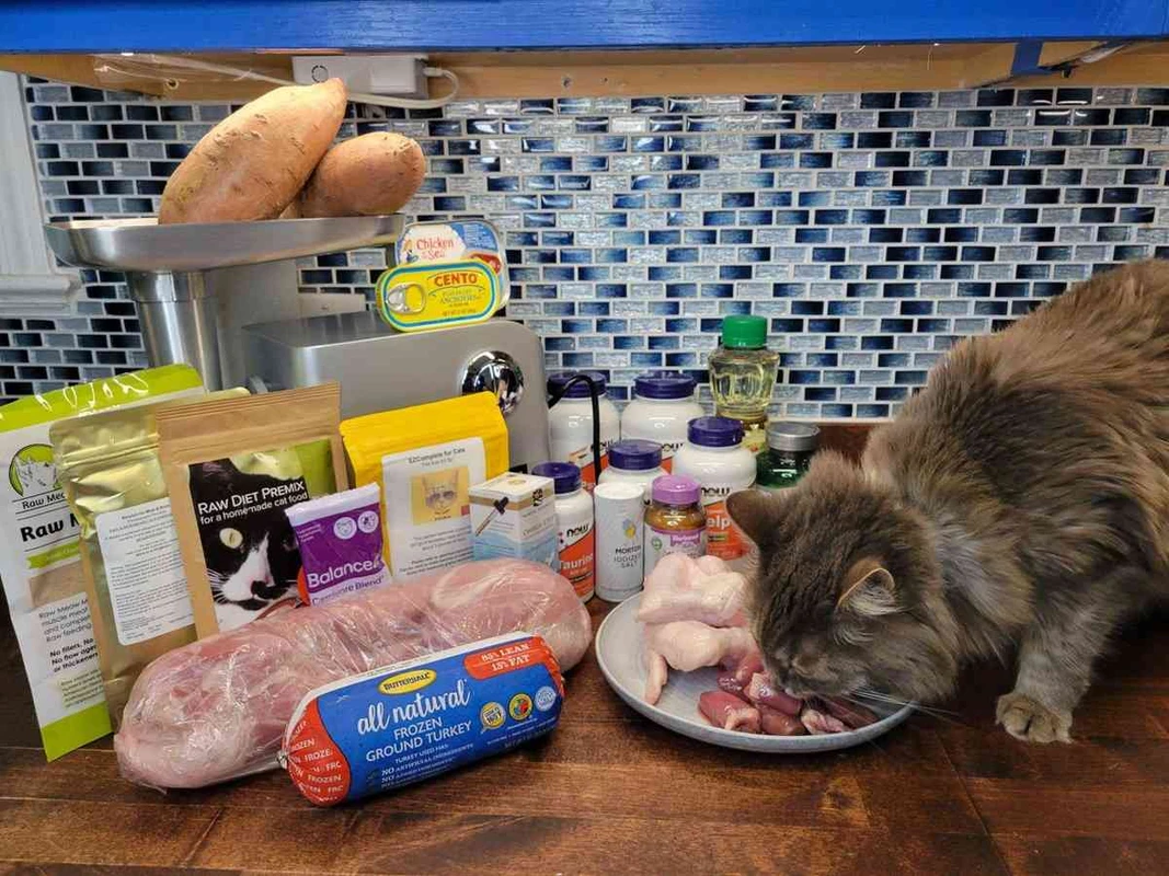 faq - Essential Homemade Vegan Cat Food Recipes Reviewed for 2026