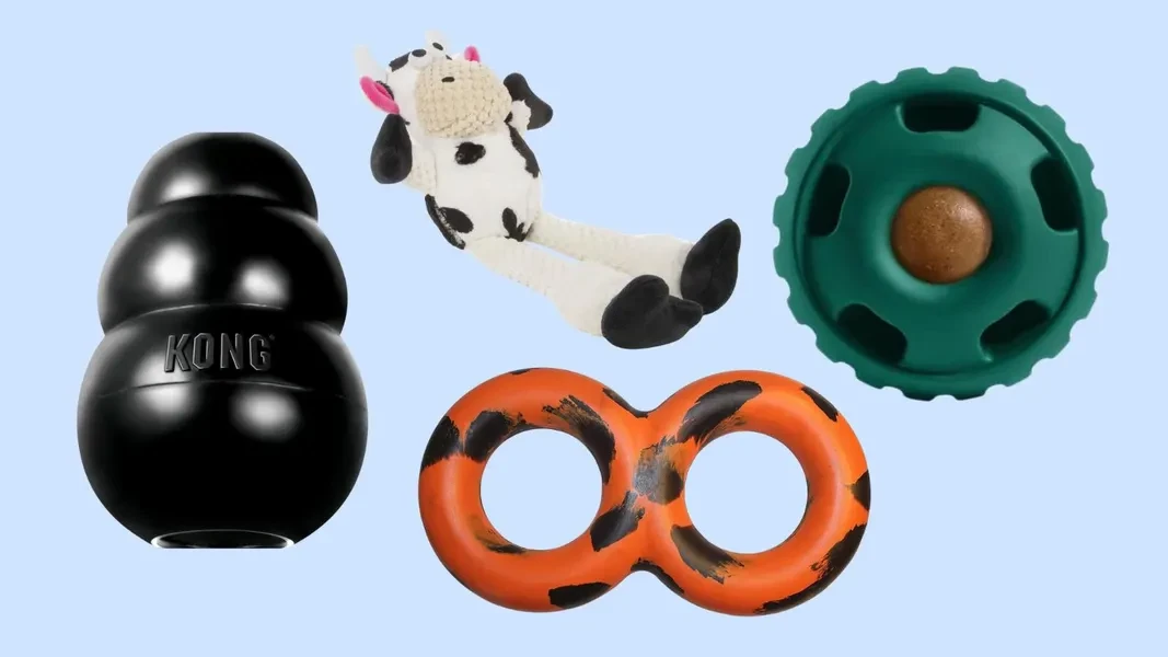 faq - Pros and Cons of Homemade Pet Toys Explained by Experts