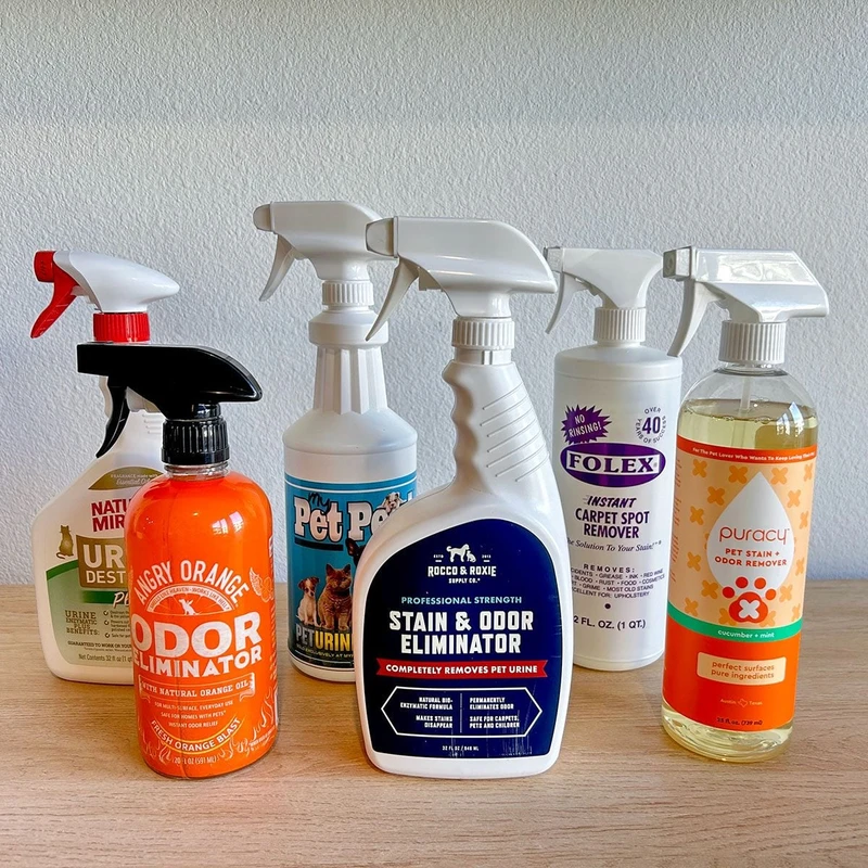 faq - Top Eco-Friendly Pet Stain Removers Use Enzymes for Safe Cleaning