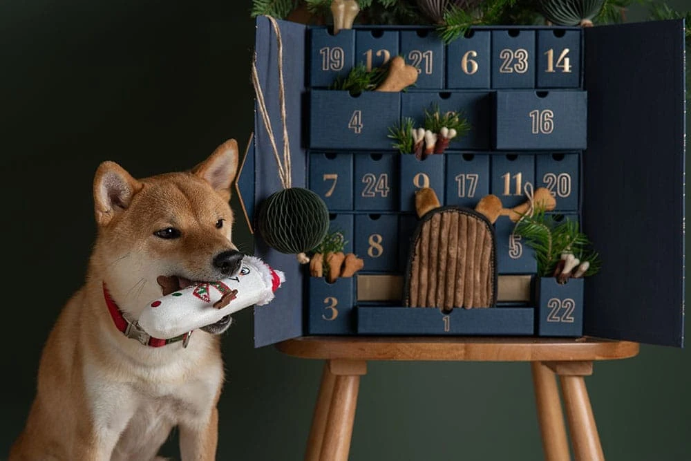 faq - Top Eco-Friendly Pet Toy Brands Reviewed for Safety & Sustainability