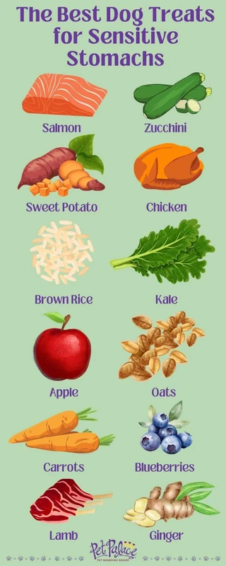 faq - Top Organic Pet Foods for Sensitive Stomachs Offer Digestive Relief