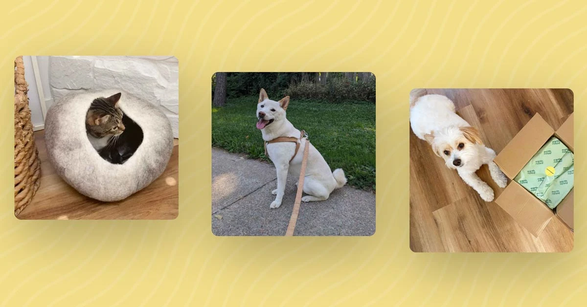 faq - Top Sustainable Pet Toys Using Recycled Rubber & Organic Cotton