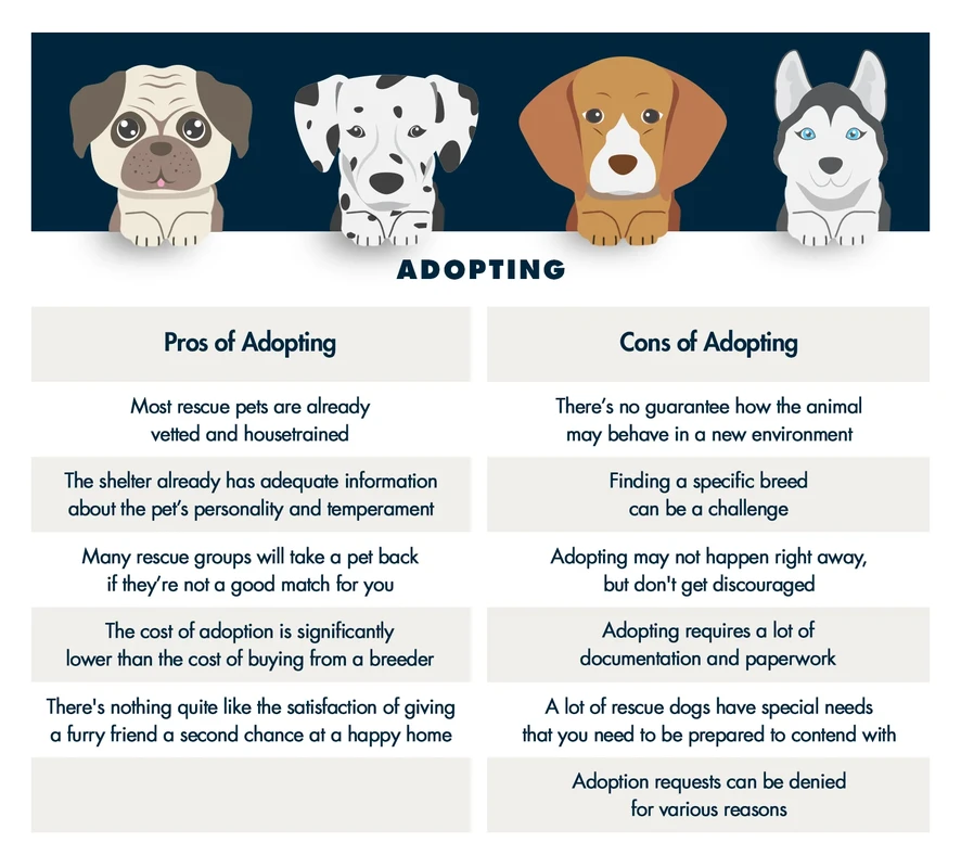 financial-considerations-for-prospective-adopted-p - Key Financial and Legal Responsibilities of Adopted Pet Owners