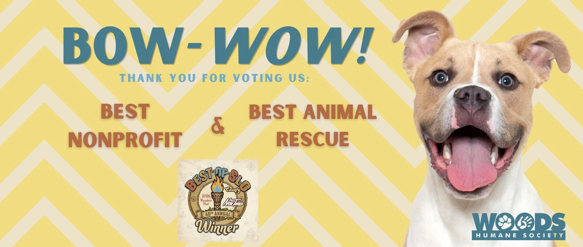 forward-looking-financial-analysis-and-market-impl - Petfinder and Top Platforms Drive $450M Pet Adoption Boom