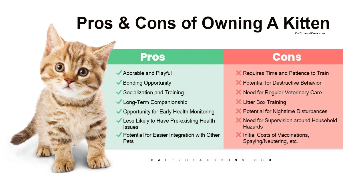 forward-looking-perspectives-and-market-trends - Key Financial and Legal Responsibilities of Adopted Pet Owners