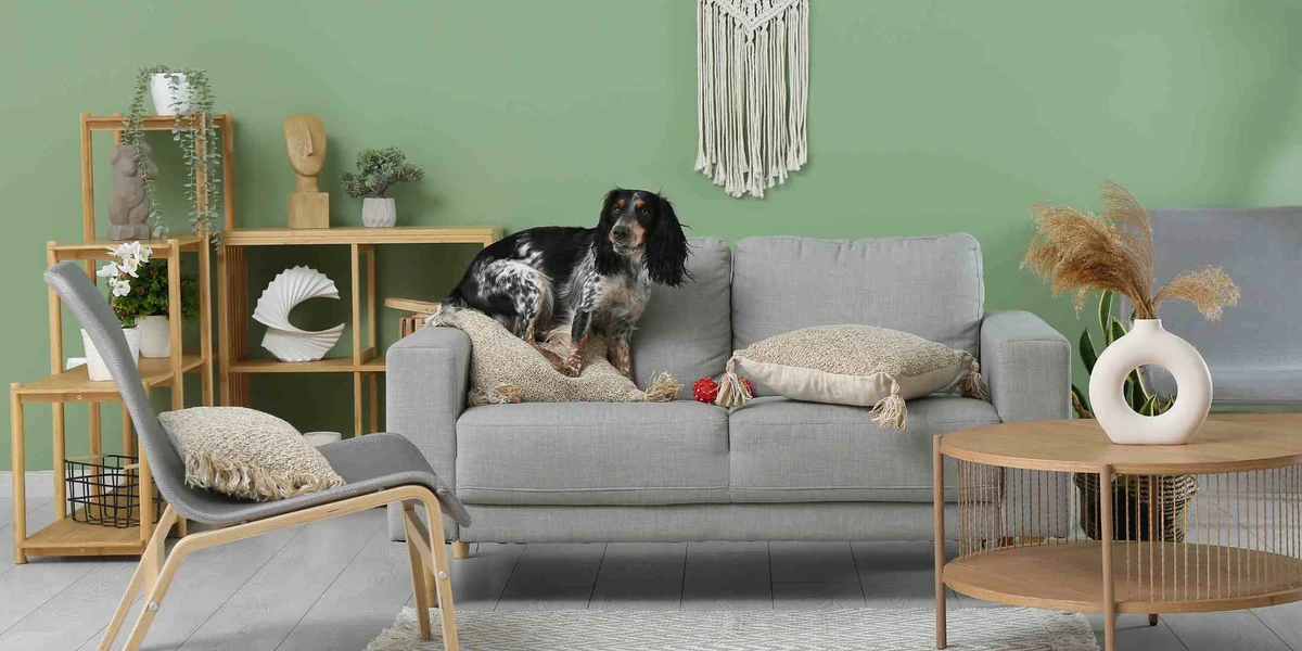 forward-looking-trends-and-consumer-guidance - Top Brands to Buy Sustainable Pet-Friendly Furniture Online