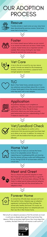 frequently-asked-questions - How to Educate Yourself About Pet Adoption Processes Today