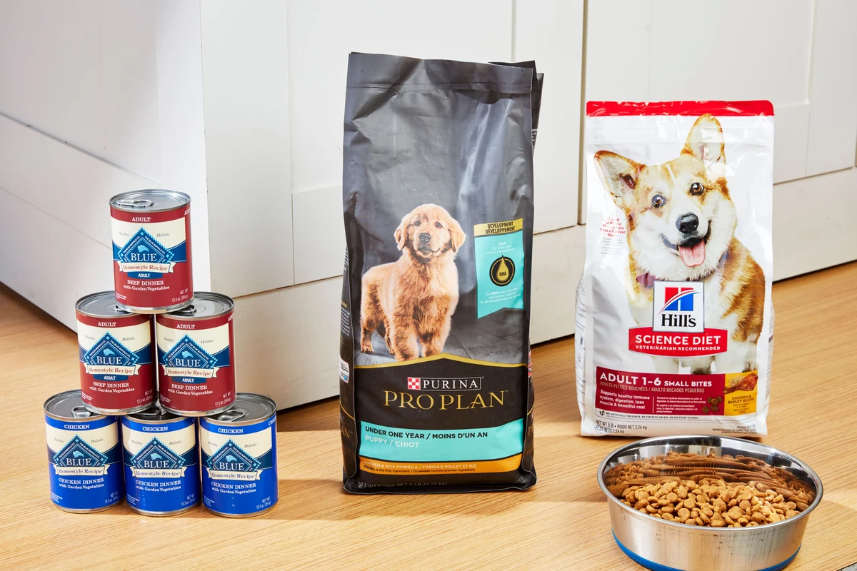 frequently-asked-questions - Top Plant-Based Dog Food Brands 2026 Backed by Vet Science