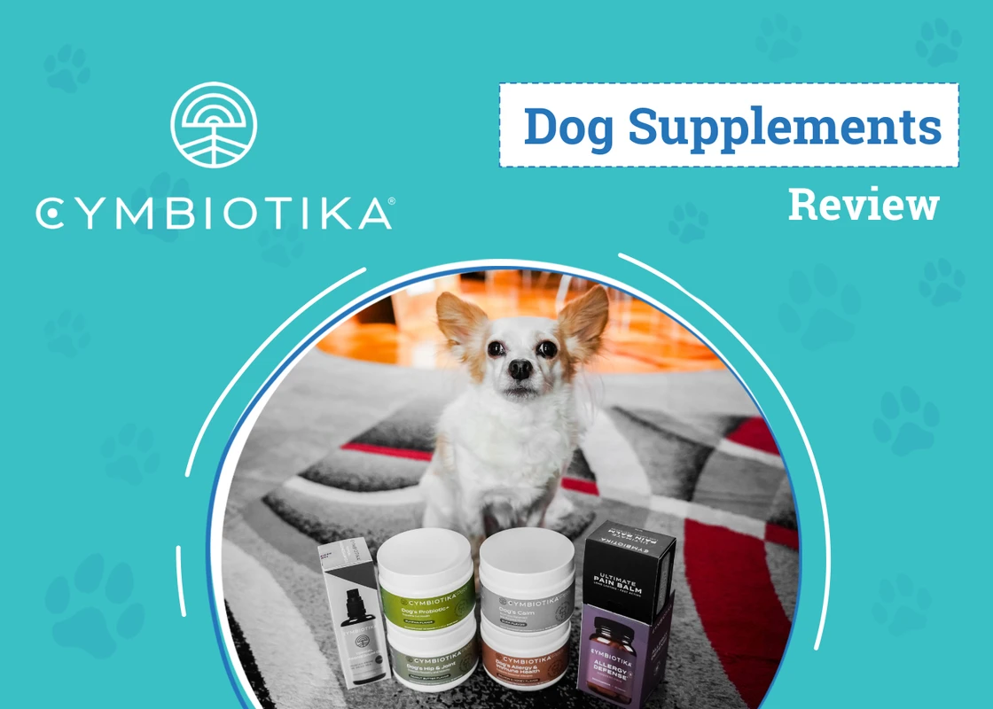 frequently-asked-questions - Top Vet-Recommended Pet Joint Supplements Improving Mobility