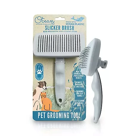 future-directions-and-practical-next-steps - Are Biodegradable Grooming Tools Worth It for Pets? Eco Benefits Explained