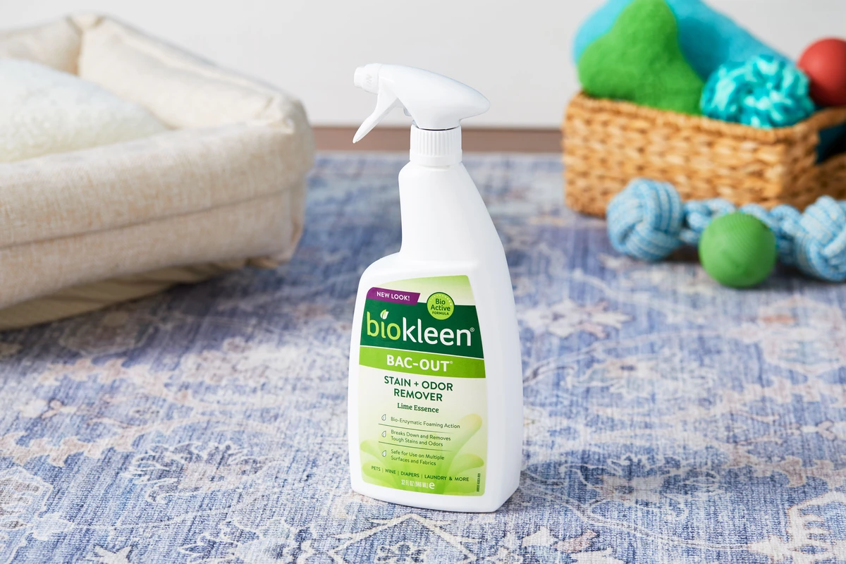 future-directions-in-eco-friendly-pet-stain-remova - Top Eco-Friendly Pet Stain Removers Use Enzymes for Safe Cleaning