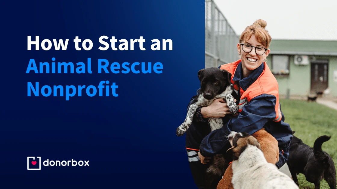 future-outlook-and-financial-trends - Pet Advocacy Guide Sales Rise 17% Boosting Animal Welfare Impact