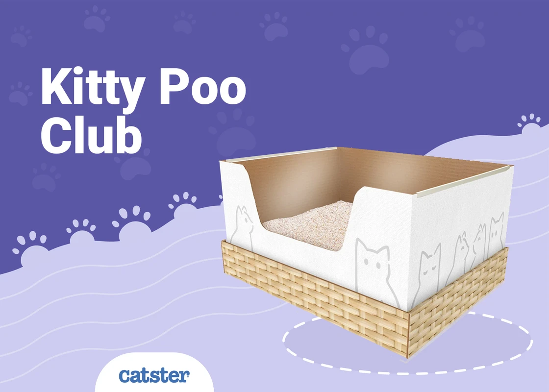 future-trends-and-innovations-in-pet-litter-dispos - Eco-Friendly Pet Litter Disposal Pros and Cons Explained