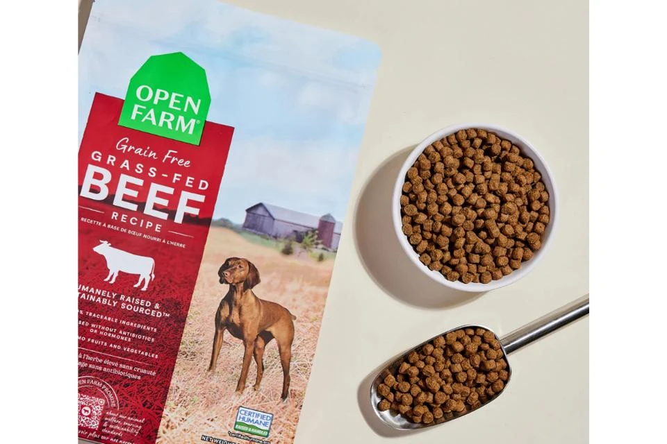 future-trends-and-innovations-in-plant-based-dog-f - Top Plant-Based Dog Food Brands 2026 Backed by Vet Science