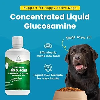 future-trends-and-research-directions-in-canine-jo - Best Supplements for Dogs with Arthritis 2026: Expert Vet Picks