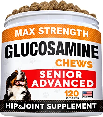 integrating-supplements-into-senior-dog-care - Top Dietary Supplements for Senior Dogs Backed by Experts