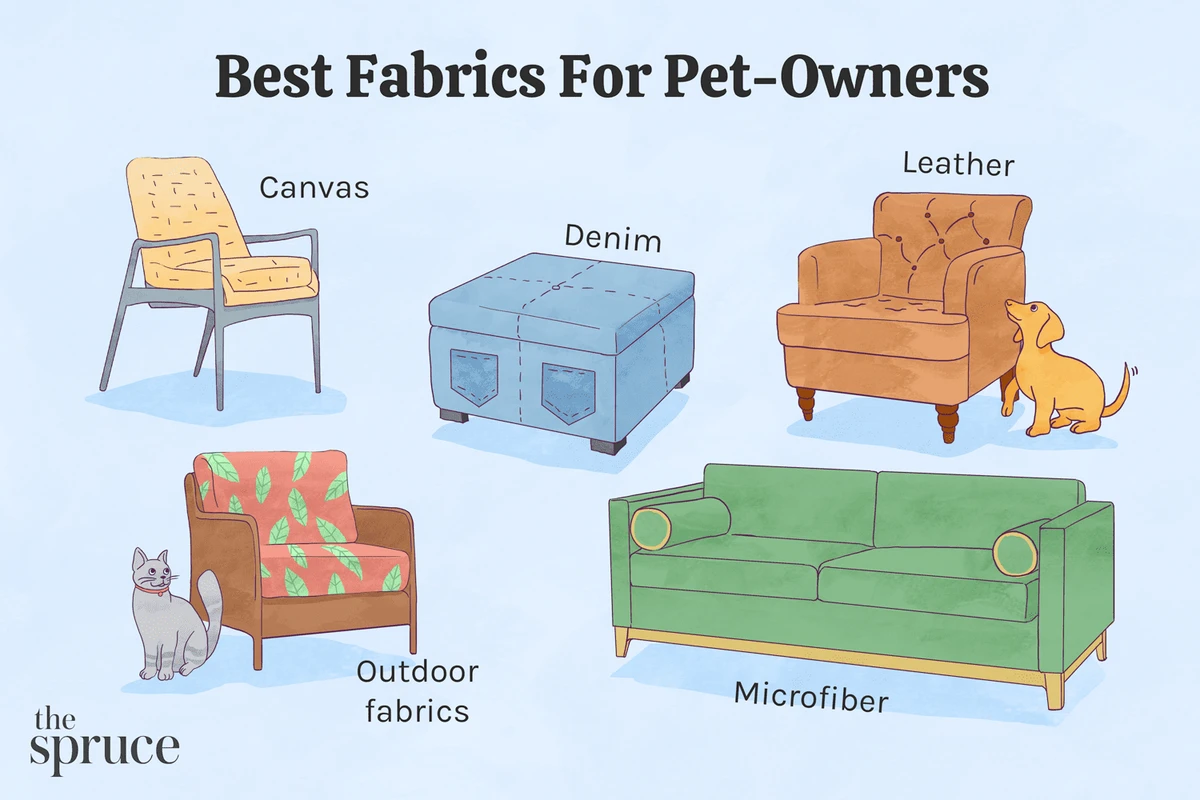 limitations-and-realistic-expectations-for-pet-fri - Pet-Friendly Furniture Options: Pros and Cons Explained