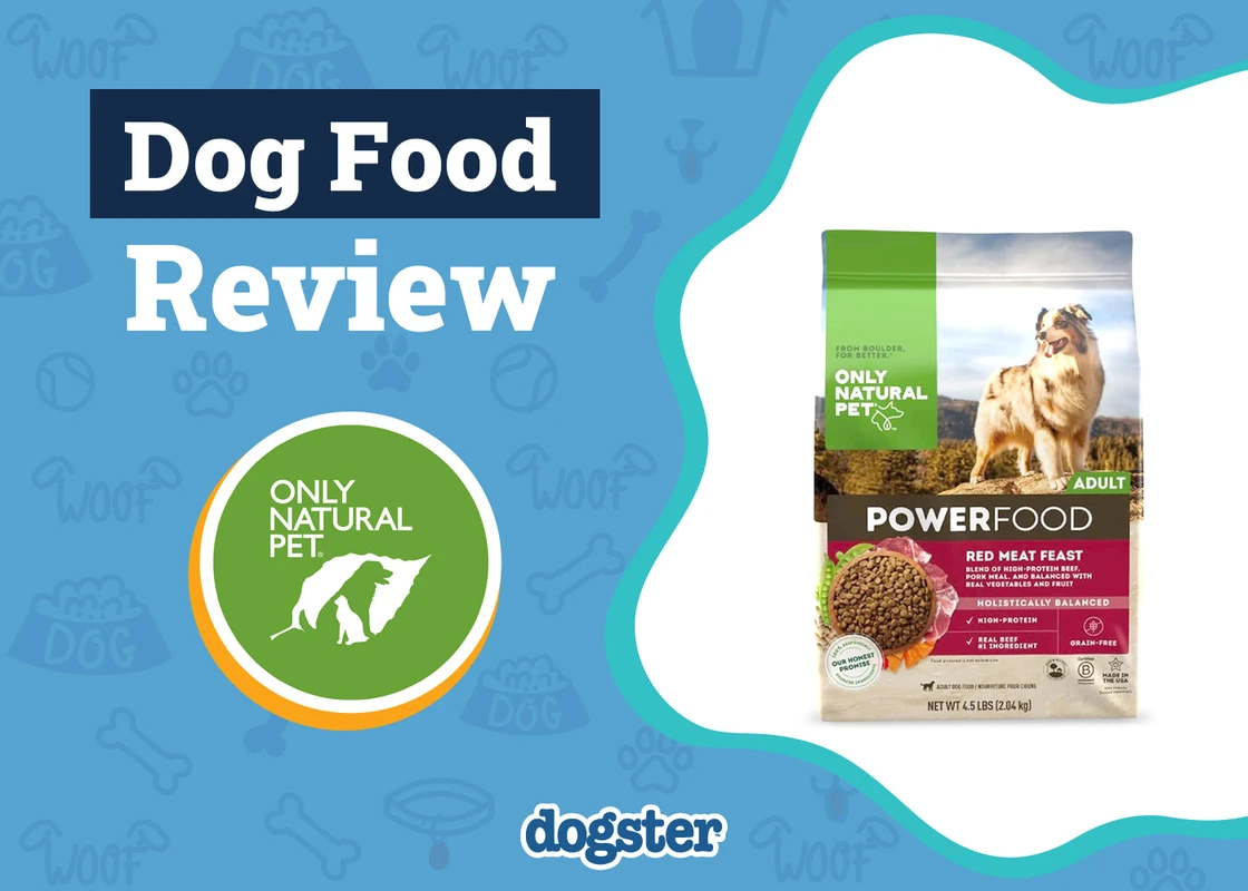 practical-considerations-when-purchasing-eco-frien - Eco-Friendly Dog Food Review 2026: Top Brands & Benefits