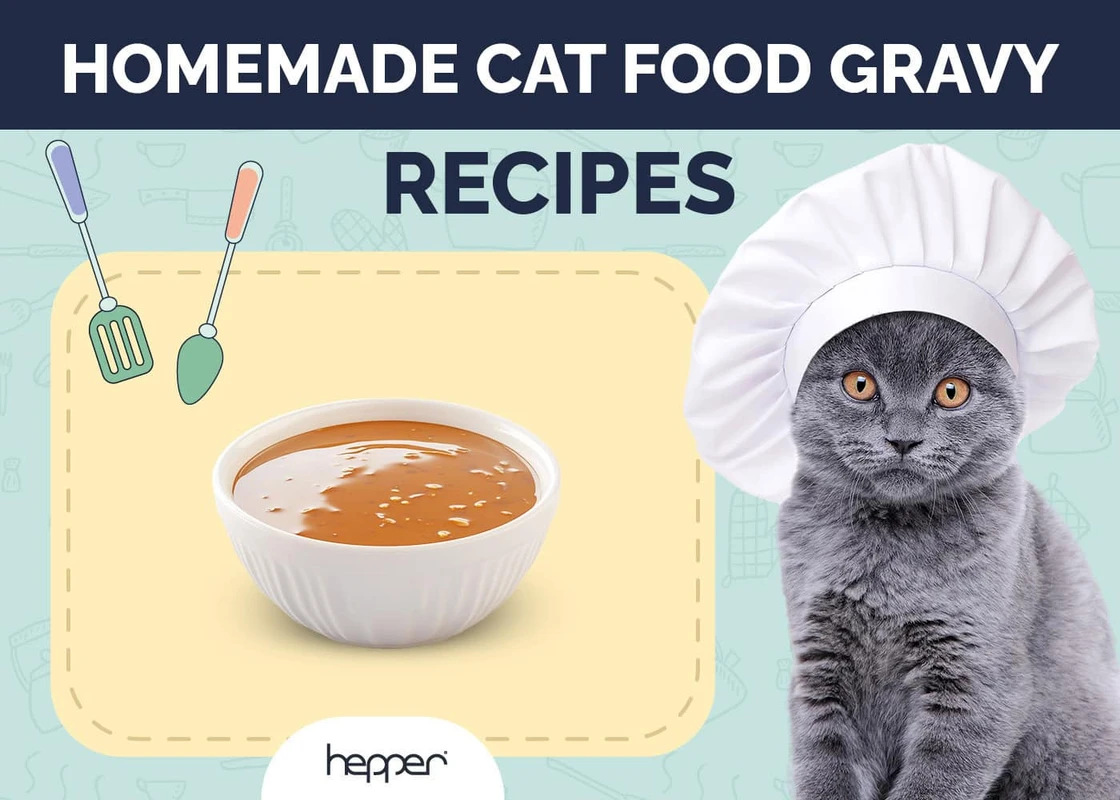 resources-and-brands-supporting-vegan-cat-diets-in - Essential Homemade Vegan Cat Food Recipes Reviewed for 2026