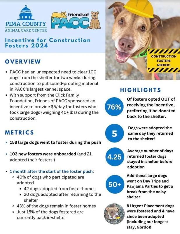 alternative-fostering-approaches - How to Start Fostering Pets for Shelters: Step-by-Step Guide