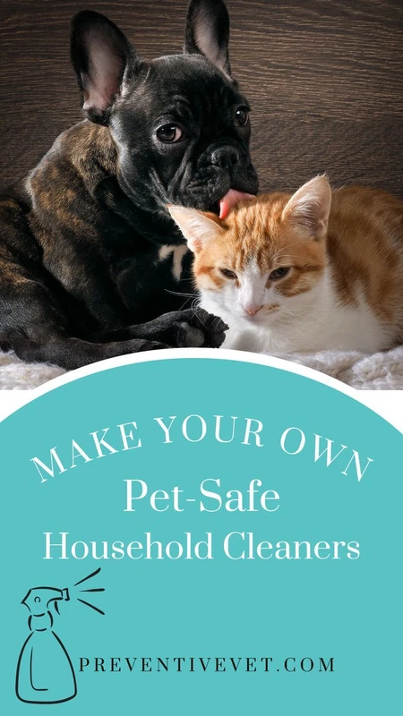 alternative-methods-for-pet-cleaning - How to Make Eco-Friendly Cleaners for Pets Safely at Home