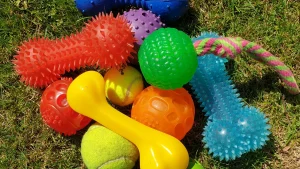 Bamboo vs Recycled Plastic Dog Toys: Key Differences Explained