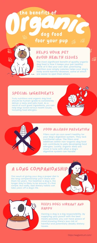 Benefits of Organic Pet Food for Dogs Explained Clearly