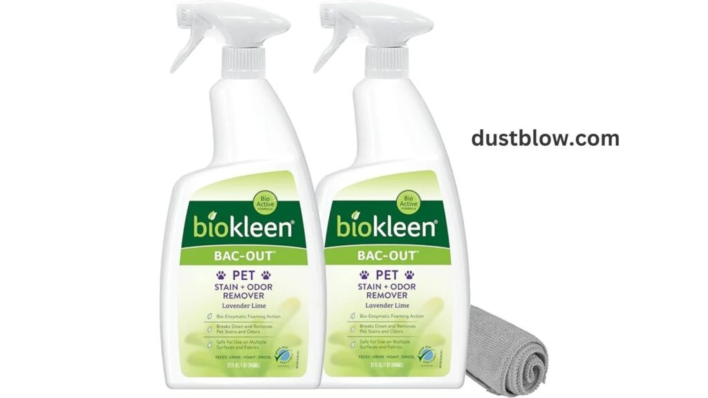 Best Eco-Friendly Pet Stain Removers Break Down Odors Safely