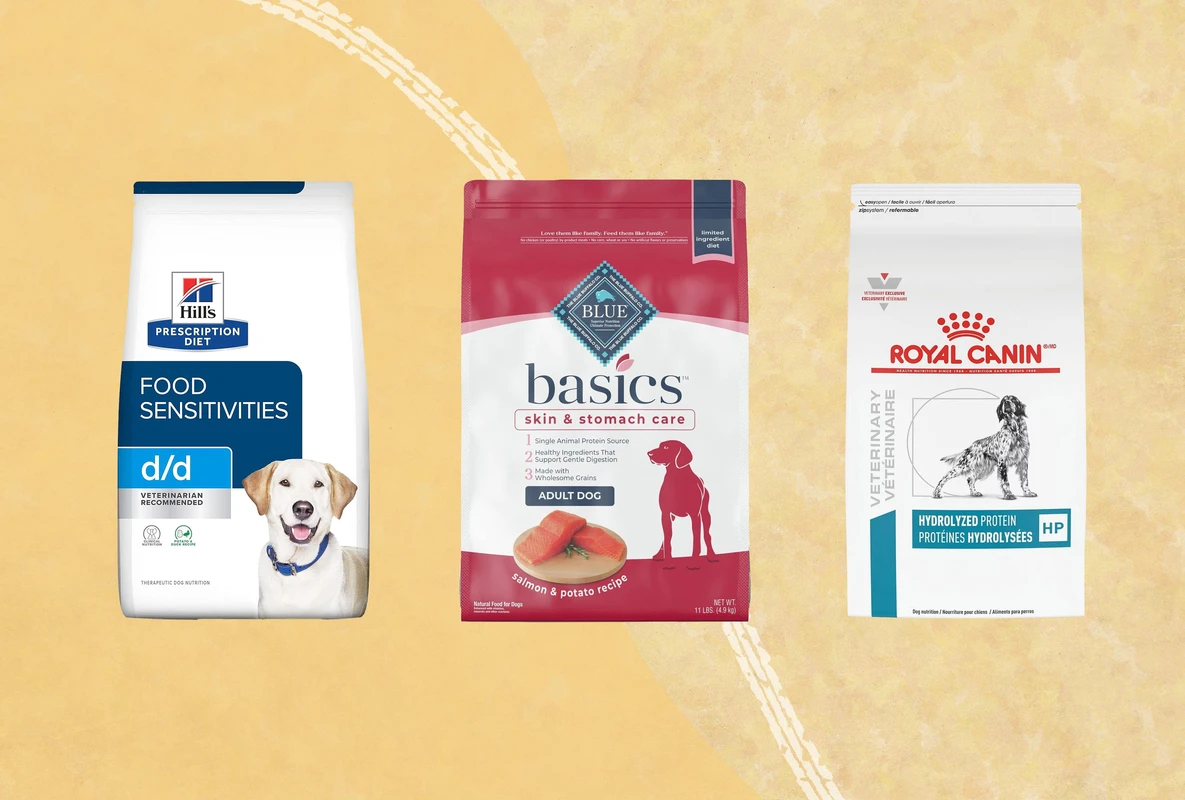 Best Hypoallergenic Dog Food for Allergies: Top 2026 Choices