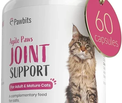 Best Joint Supplements for Older Cats: Expert-Backed Choices