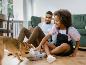 Best Practices for Fostering Pets Explained by Experts
