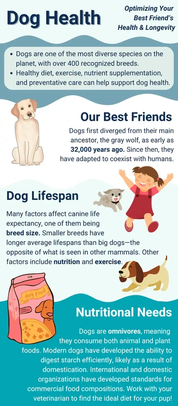 Common Side Effects of Pet Dietary Supplements Explained