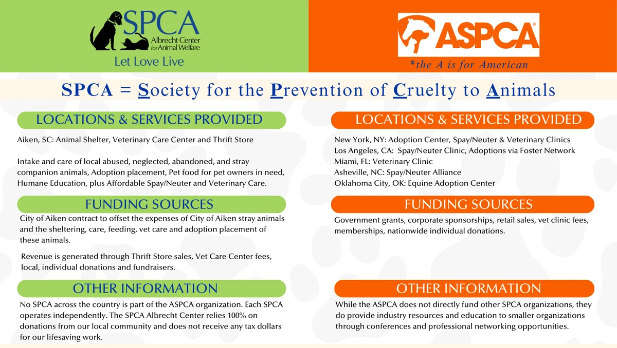 Difference Between Local and National Pet Rescues Explained