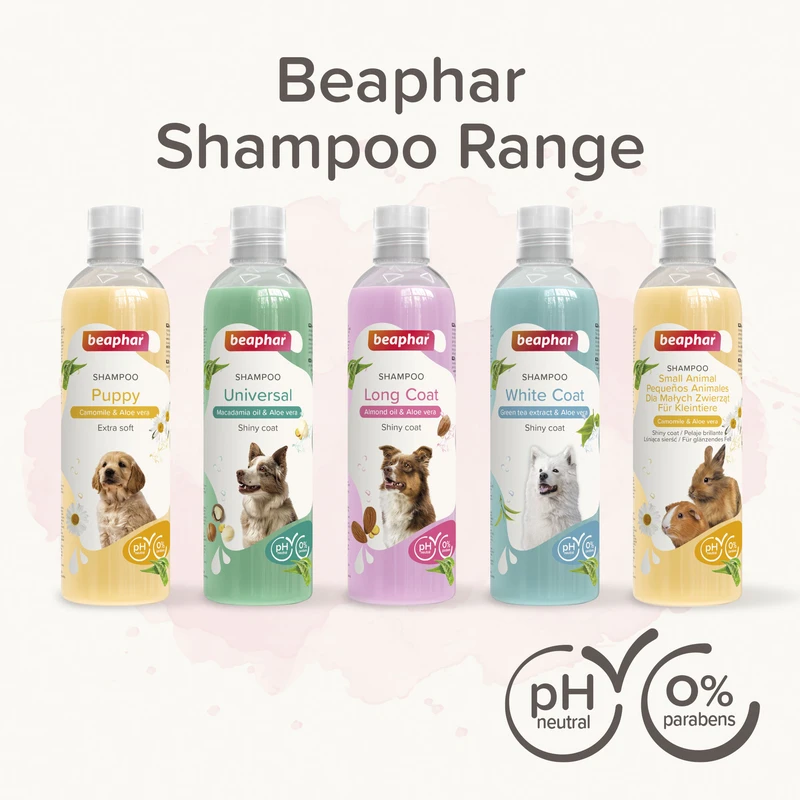 Differences Between Conventional and Natural Pet Shampoos Explained