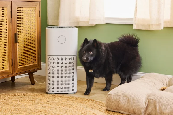 Energy-Efficient Appliances for Pet Homes Boost Market Growth