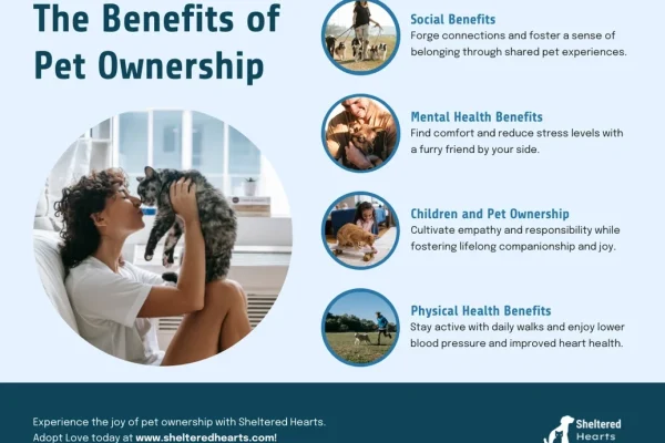 Ethical Pet Ownership: What It Means for Adopters and Markets