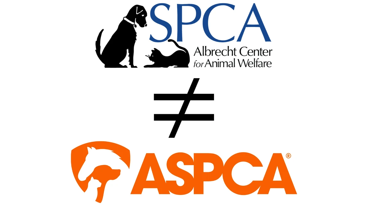 faq - Difference Between Local and National Pet Rescues Explained