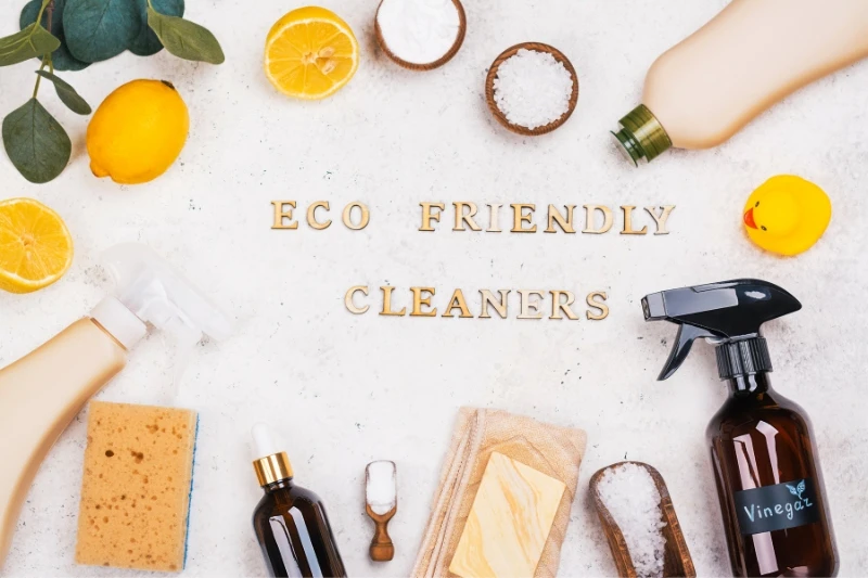 faq - How to Make Eco-Friendly Cleaners for Pets Safely at Home