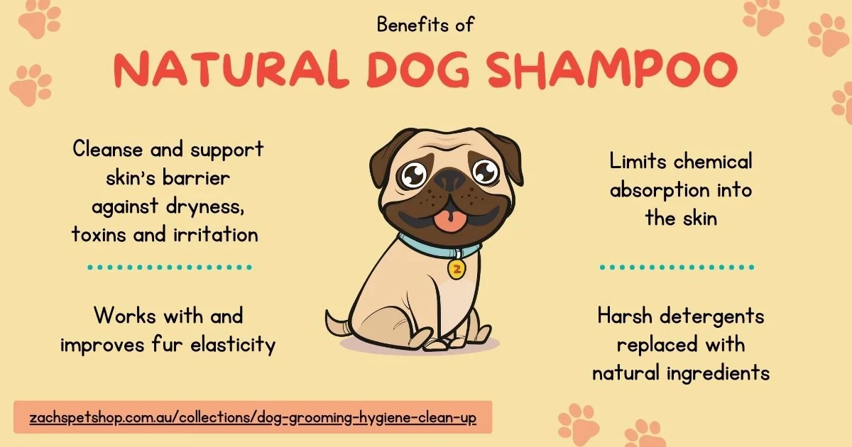 future-directions-and-practical-recommendations-fo - How Natural Ingredients Boost Pet Grooming Health and Care