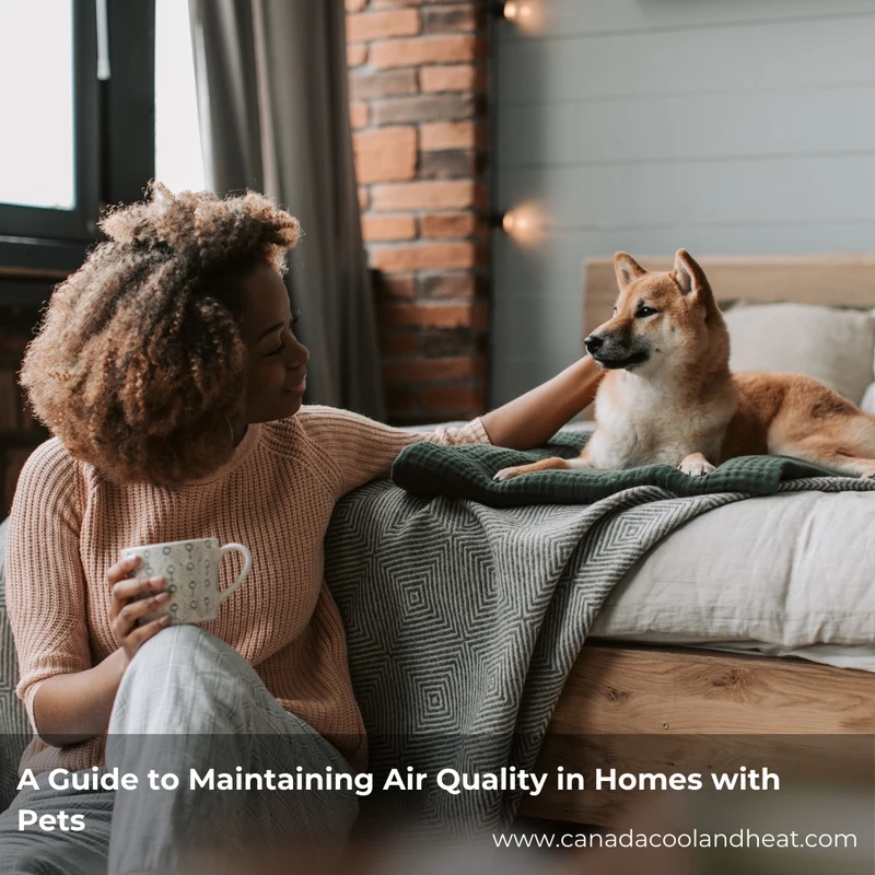 How Air Quality Impacts Pet Health and Home Safety