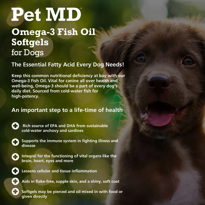 How Omega Fatty Acids Boost Pet Health with EPA & DHA Benefits