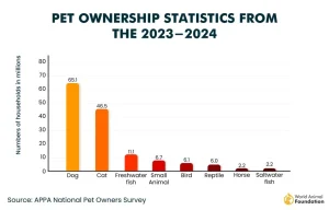 How Pet Ownership Boosts Community Health and Social Bonds