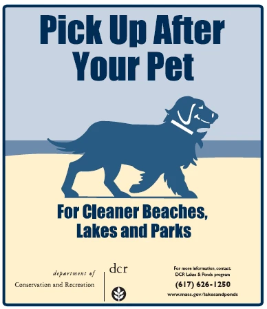 How Pet Waste Recycling Programs Cut Pollution and Boost Sustainability