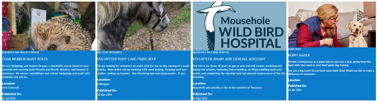 How Pets Boost Local Conservation & Wildlife Education