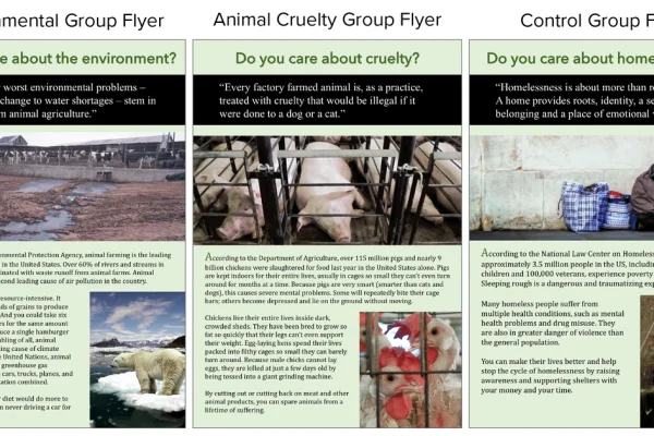 How Pets Drive Environmental Advocacy and Sustainability Efforts