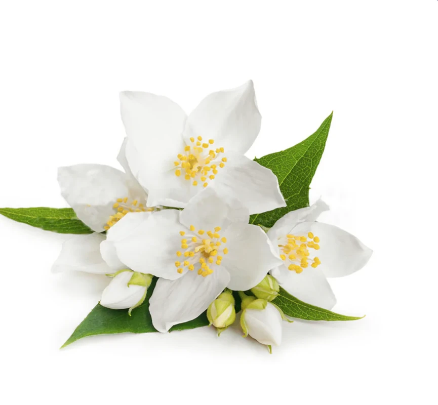 How to Choose Eco-Friendly Grooming Products Safely