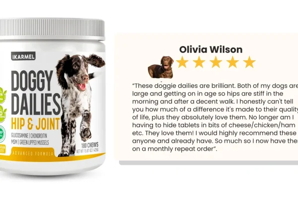 How to Choose Quality Dietary Supplements for Dogs Safely